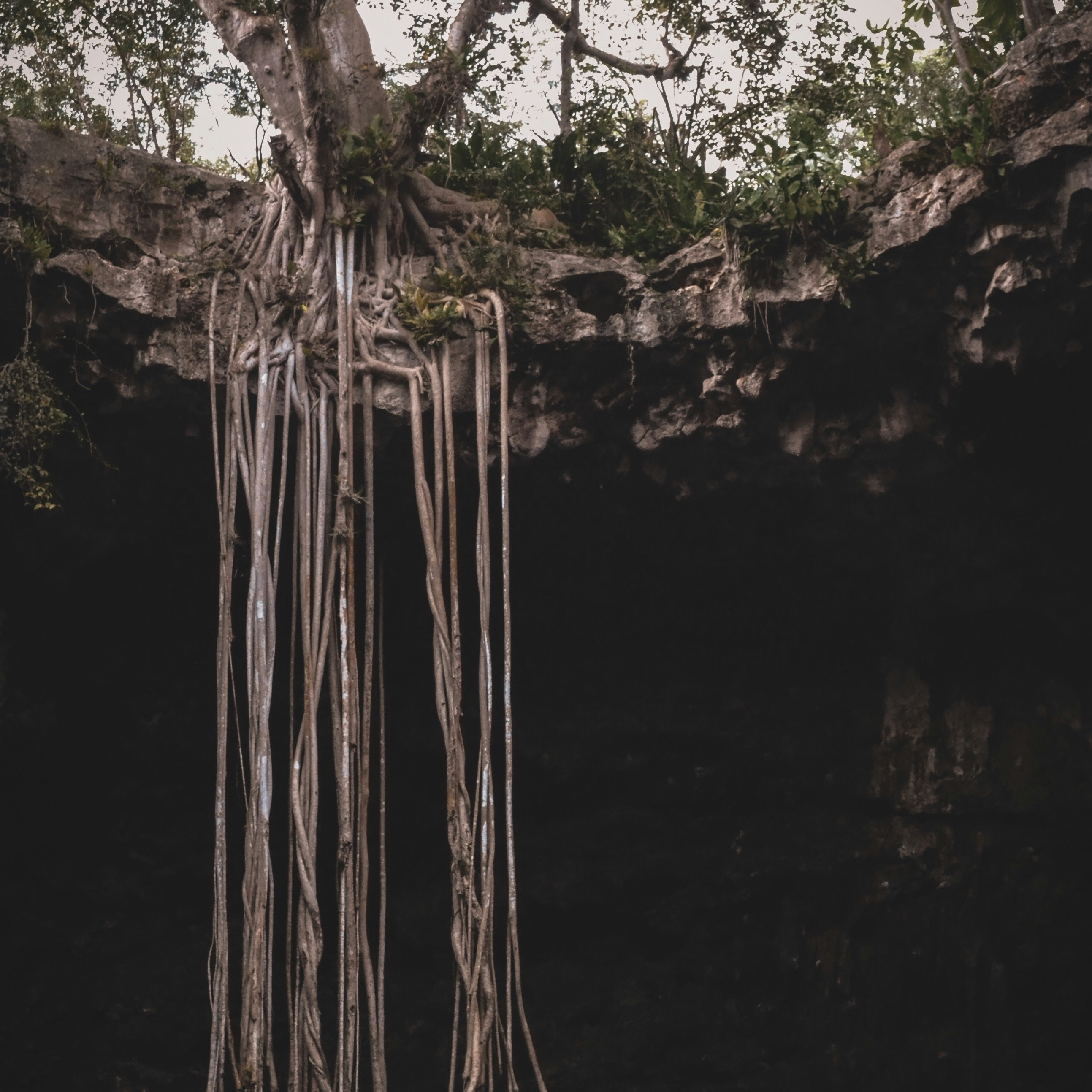 Self-Editing Your Manuscript