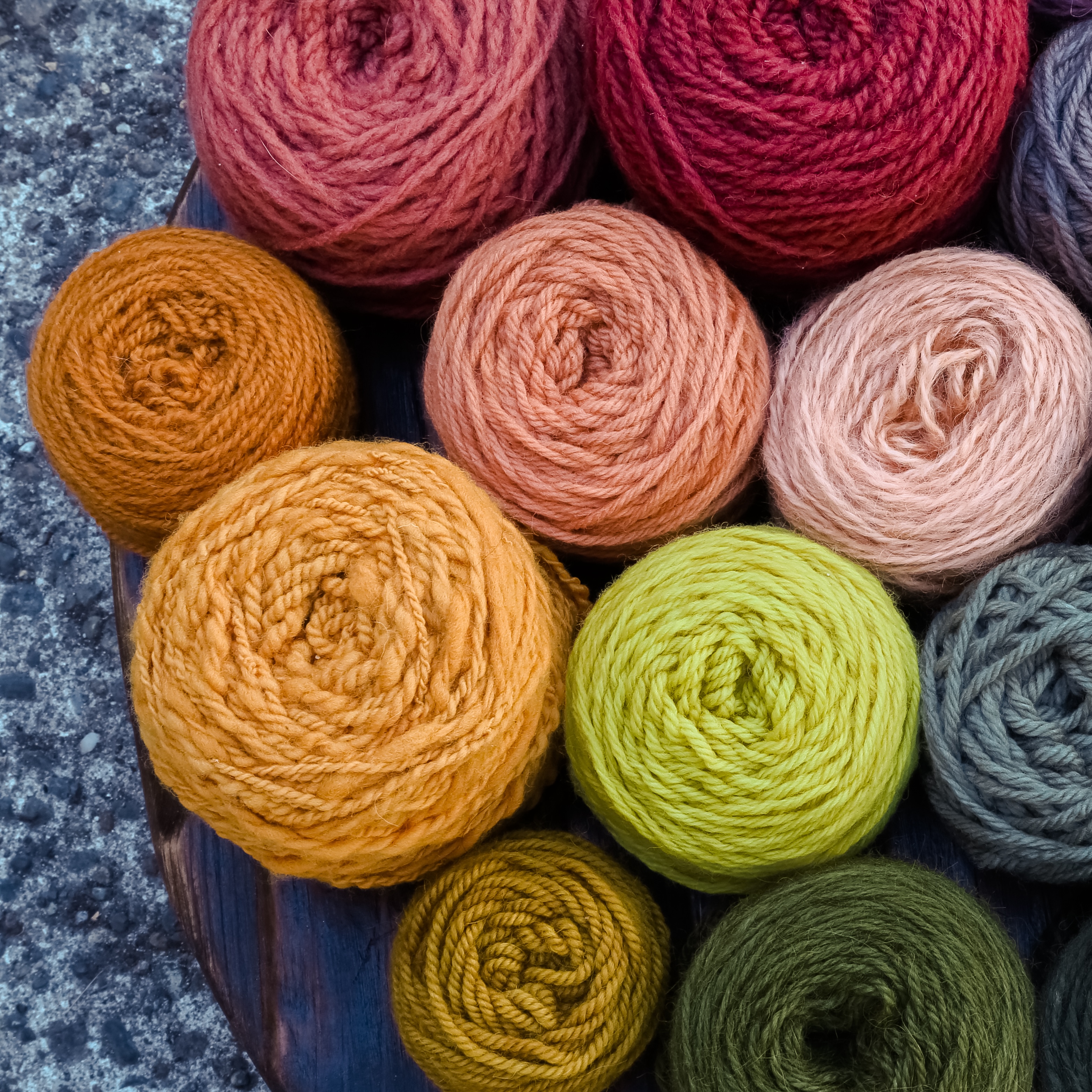 Mycopigments: Explore Regional Mushroom and Lichen Dyes