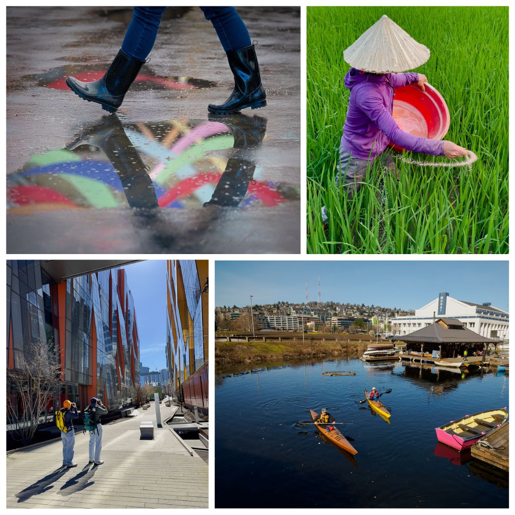 Creative Phone Photography