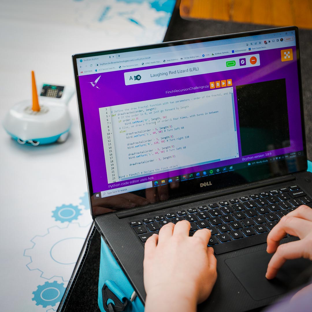 Summer Youth: Intro to Python and AI (Ages 10-14)