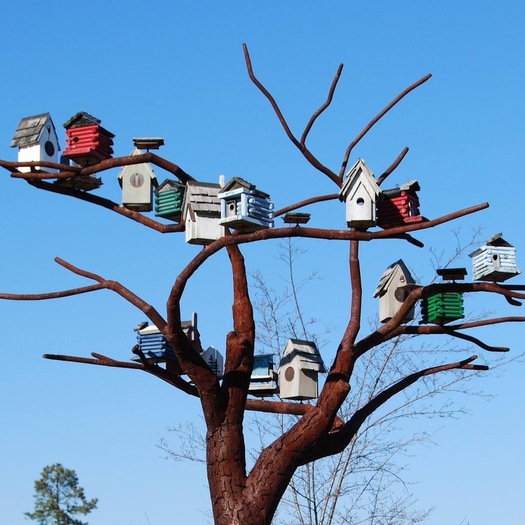 Design/Build an Artistic Birdhouse (Free)