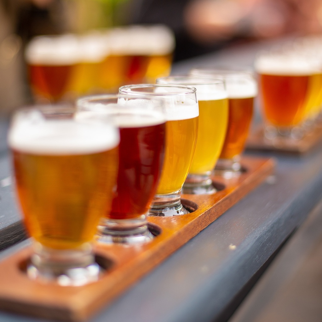 Intro to Beer Tasting With Chelsea: All About Malt
