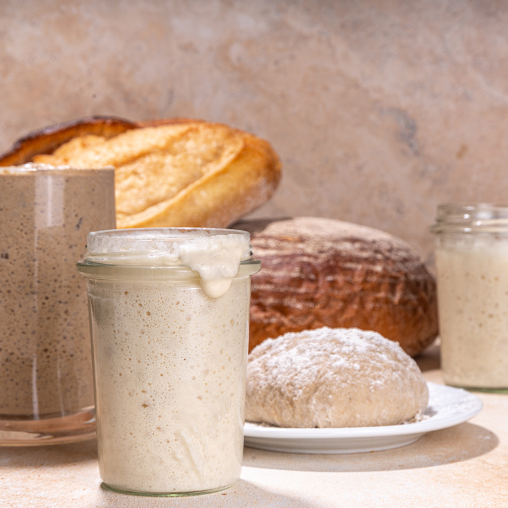 Intro to Sourdough: Beyond Bread!