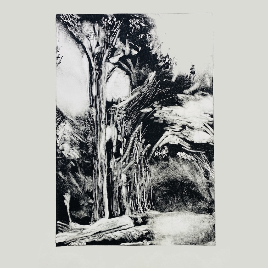 Introduction to Monotype