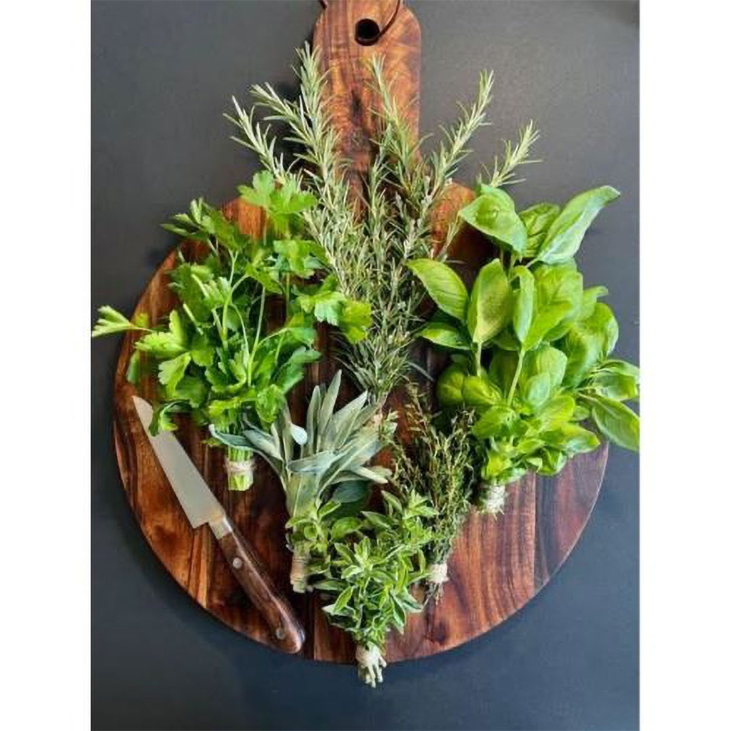 Italian Cooking Adventure and Herb Garden Planting