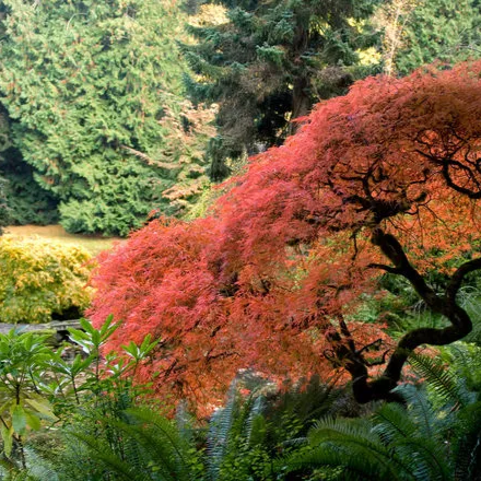 Nature-Inspired Writing With Jennifer J. Wilhoit (Online)