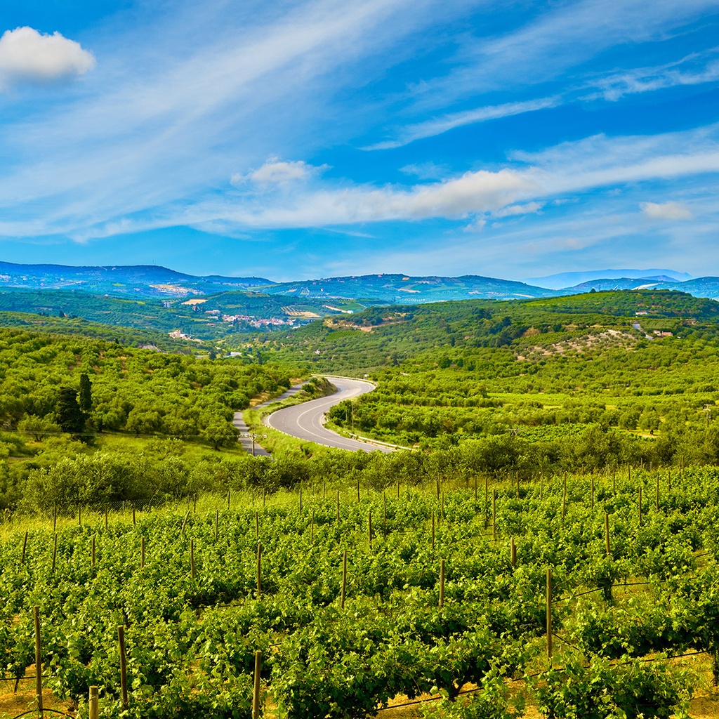 Off the Beaten Path 2: Wines from Italy & Greece