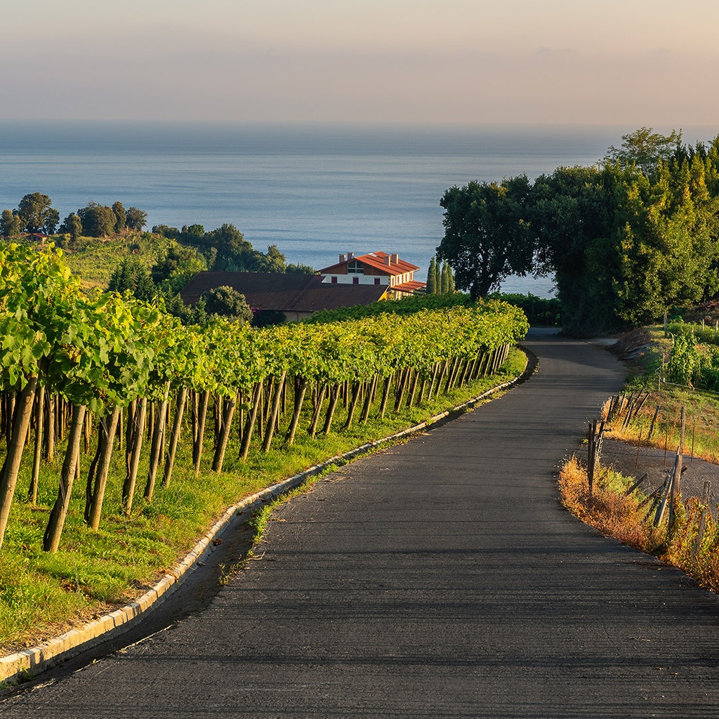 Off the Beaten Path 3: Wines from Spain & Portugal