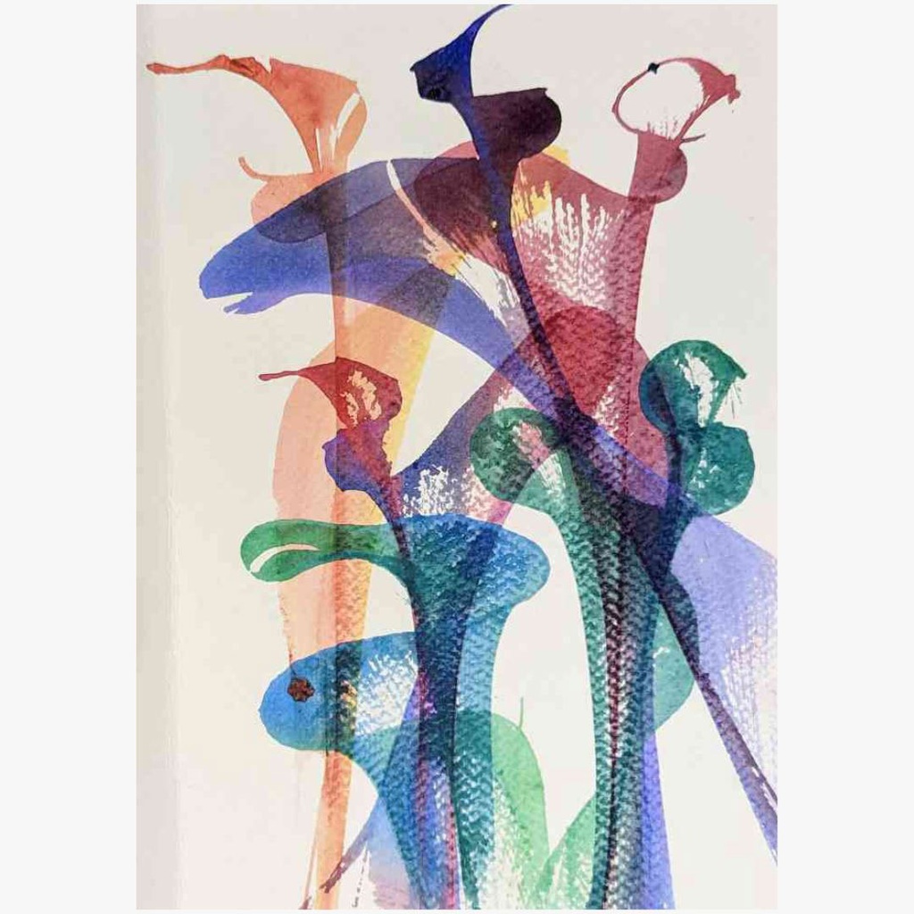 Summer Youth: Exploring Color With Printmaking (Ages 10-14)