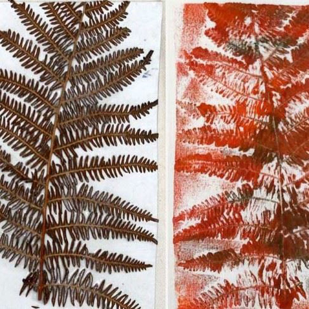 Summer Youth: Natural Ink & Printing Plants (Ages 8-10)