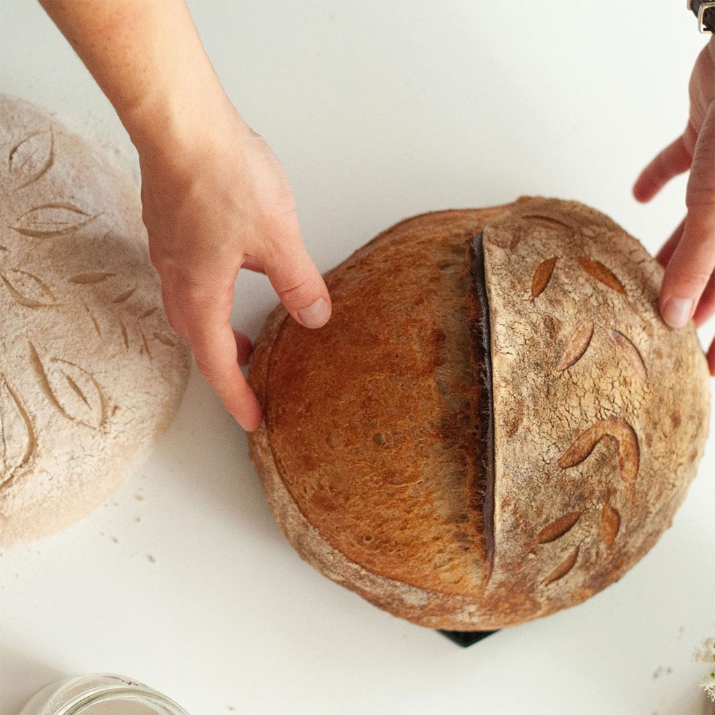 Summer Youth: The Art of Sourdough (Ages 12-18)