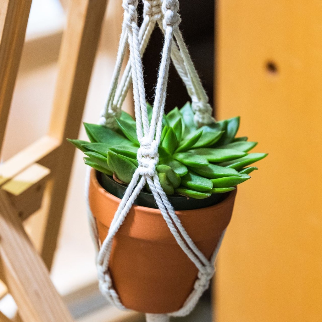Try It! Macrame Planters