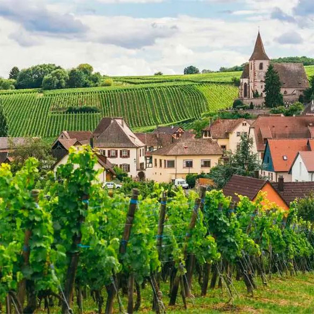 Wine Tour of France