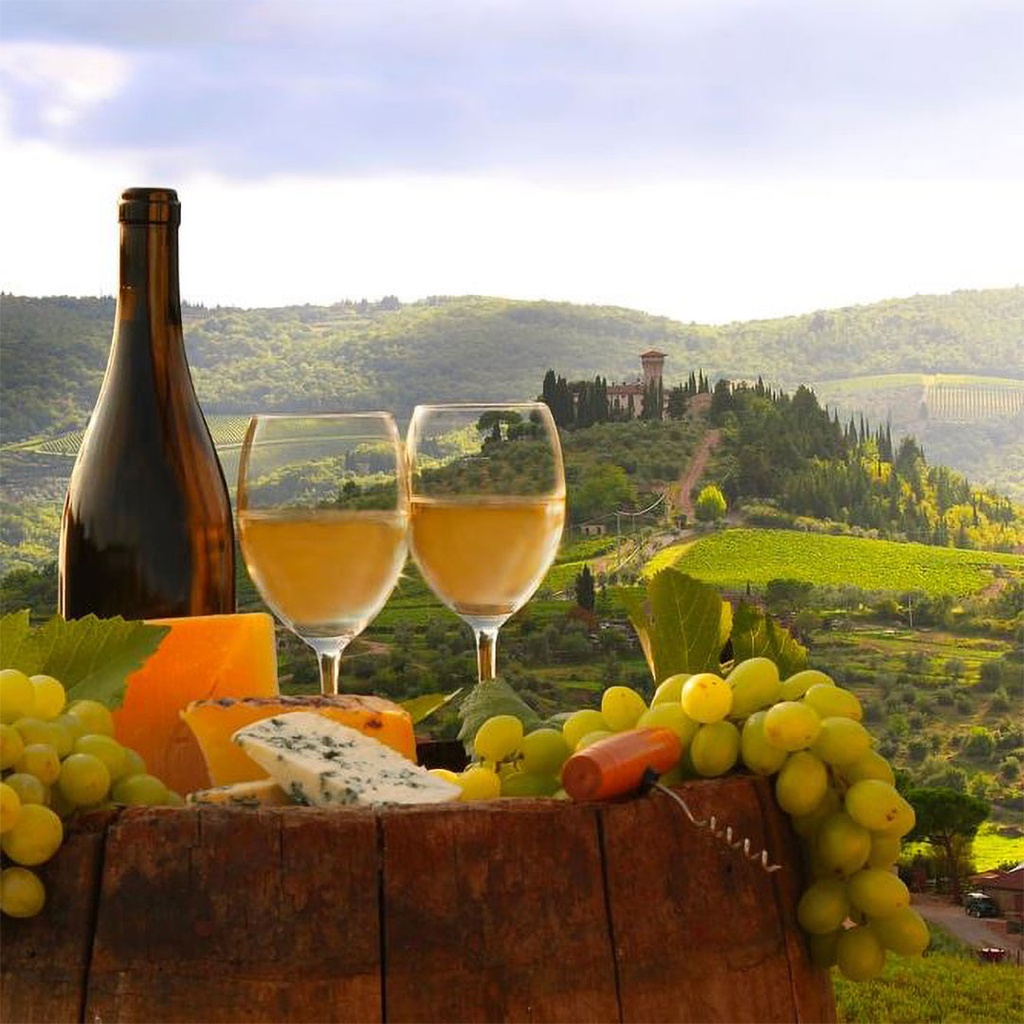 Wine Tour of Italy