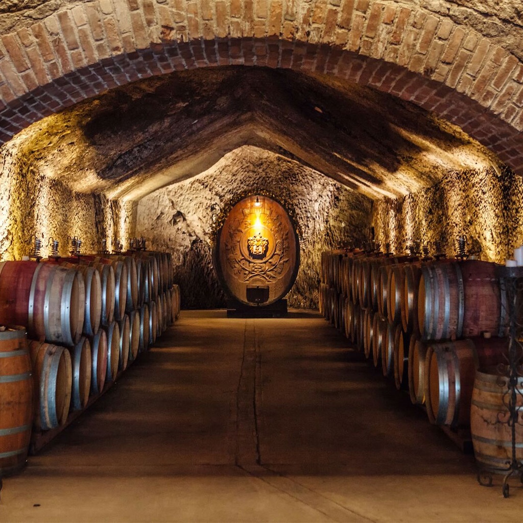 Wine Tour of Spain