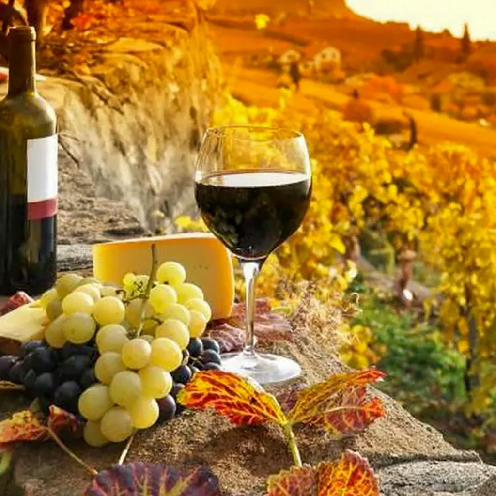 Wines of Tuscany
