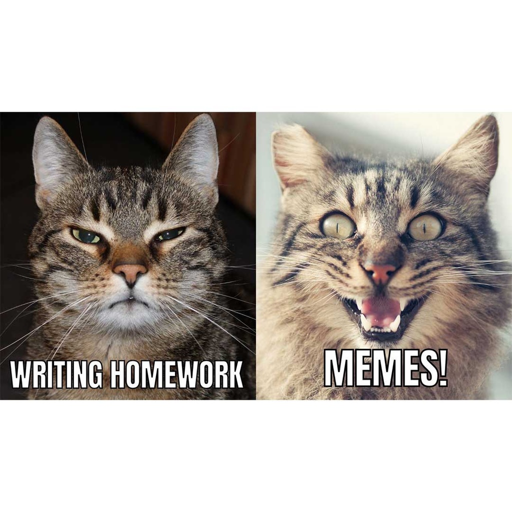 Youth Maker Mondays: What Do You Meme? (Ages 8-12)