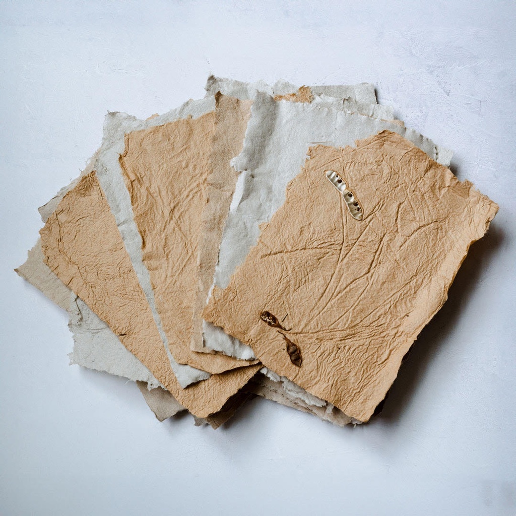 Volunteer Appreciation: Introduction to Paper Making