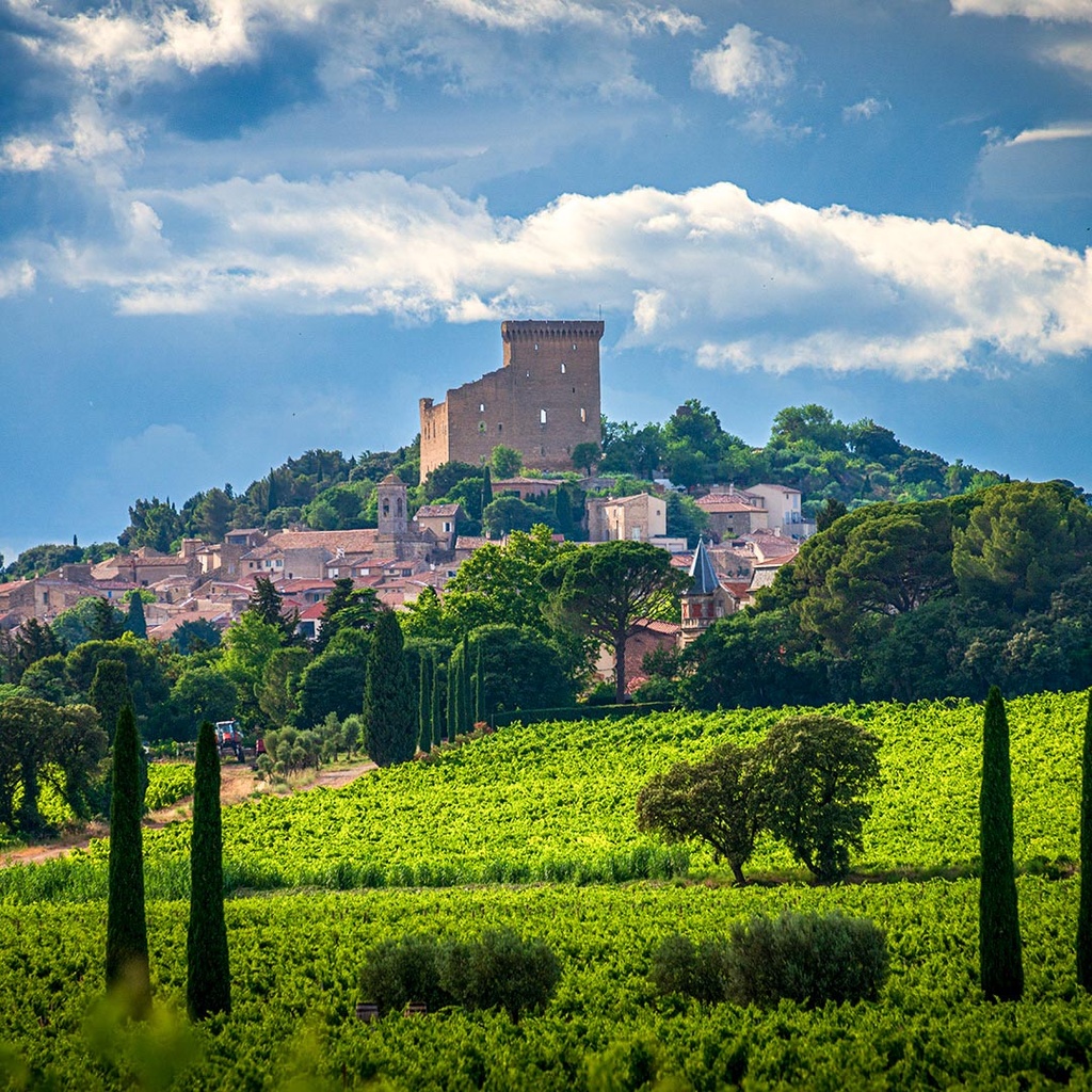 Wines of the Southern Rhône Valley