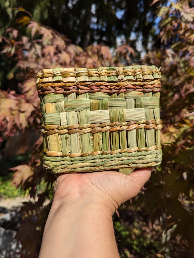 Weaving with Weeds