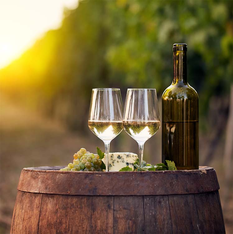 Summer Wine Discovery: Documentation Demo