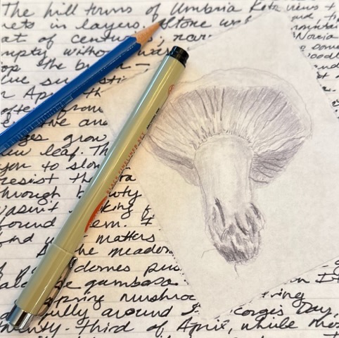 Embracing Summer: Nature Writing and Drawing