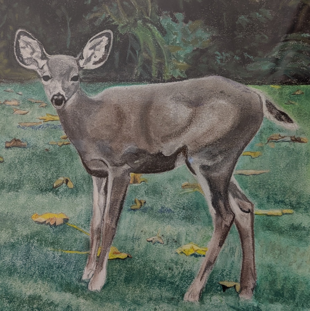 Soft Pastel: Into the Wild