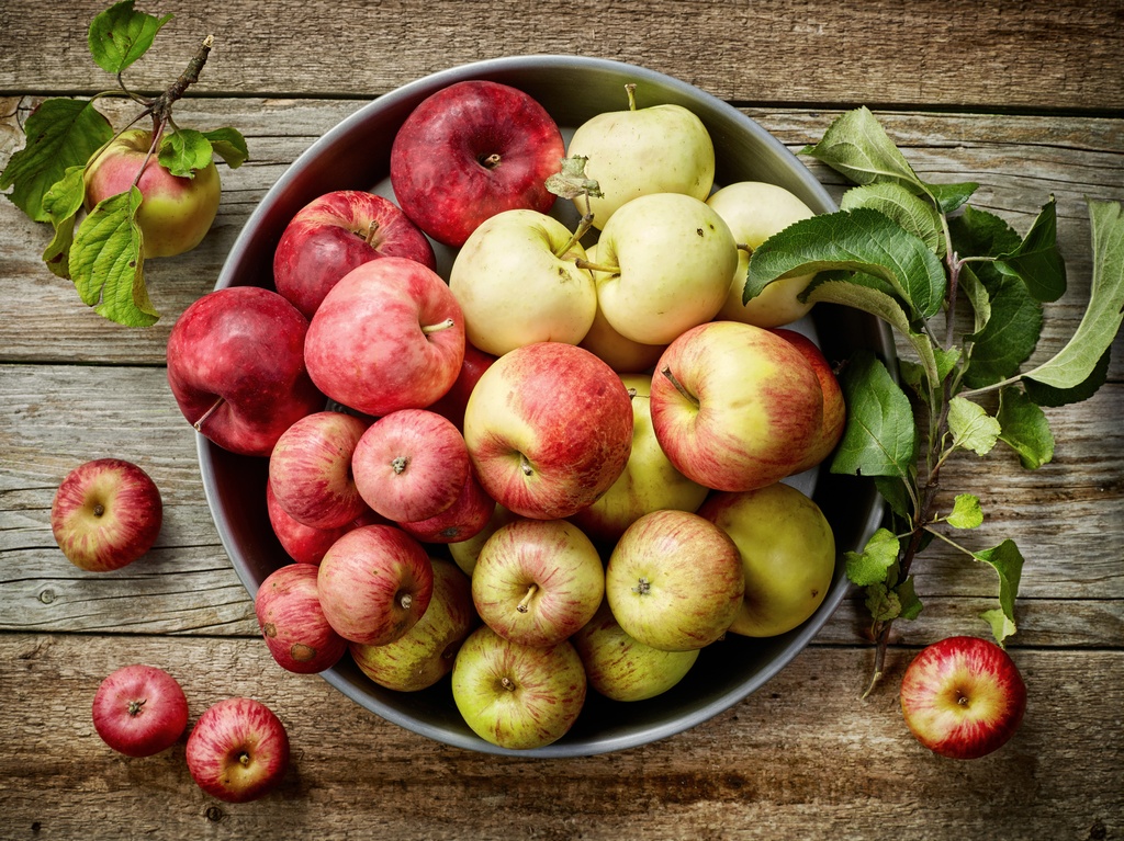 Everything Apples!
